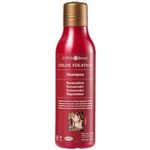 Surya Brasil Colour Fixation Restorative Shampoo